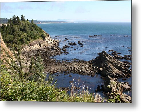 Cape Arago Metal Print featuring the photograph Cape Arago by Dylan Punke