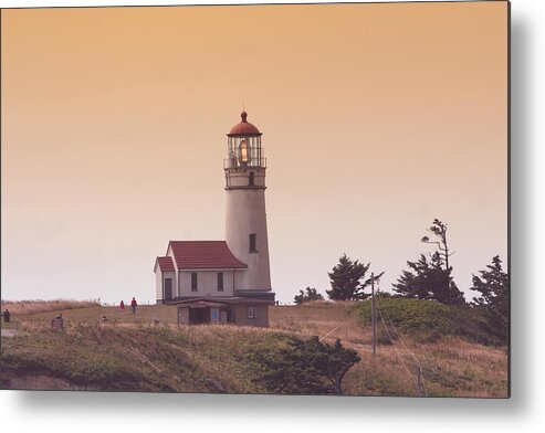 Lighthouse Metal Print featuring the photograph Cape Arago LI 6000 by Mary Gaines