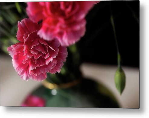Carnations Metal Print featuring the photograph Carnation Series 2 by Mike Eingle