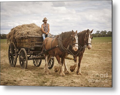 Horse Metal Print featuring the photograph Carting Hay by Linda Lees