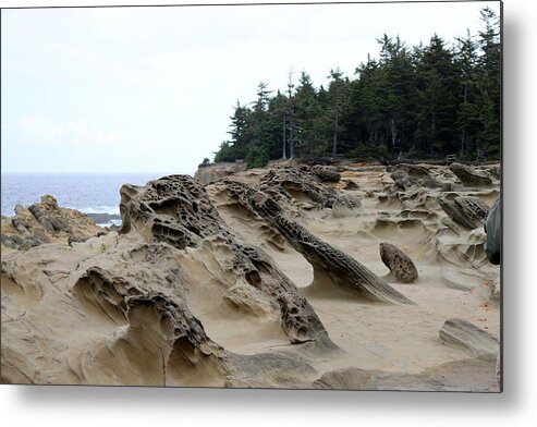Oregon Metal Print featuring the photograph Carved Sandstone along the Oregon Coast by Christy Pooschke