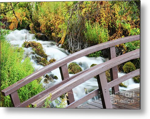 Waterfall Metal Print featuring the photograph Cascade Bridge by Dennis Hammer