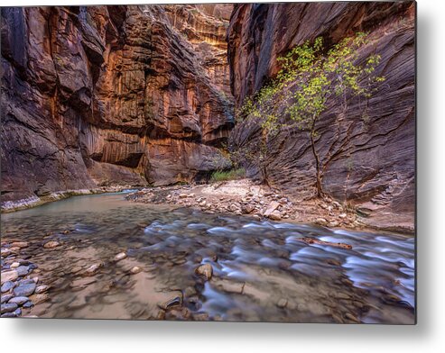 Zion Metal Print featuring the photograph Cascades in the Narrows of Zion by Pierre Leclerc Photography