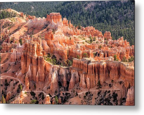 Bryce Metal Print featuring the photograph Castle Path by Denise Bush