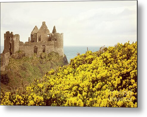 Ireland Metal Print featuring the photograph Castle ruins and yellow wildflowers along the Irish coast by Juli Scalzi