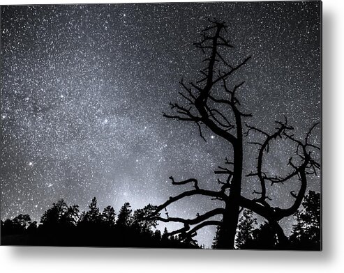 Sky Metal Print featuring the photograph Celestial Stellar Dark Universe by James BO Insogna