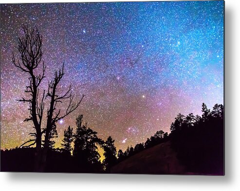 Sky Metal Print featuring the photograph Celestial Universe by James BO Insogna