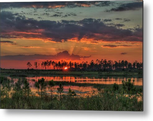 Landscape Metal Print featuring the photograph Central Florida by Justin Battles
