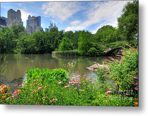 Central Park Metal Print featuring the photograph Central Park by Kelly Wade