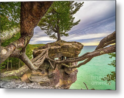Chapel Rock Metal Print featuring the photograph Chapel Rock With Strong Roots You Can Do Anything 4971 by Norris Seward