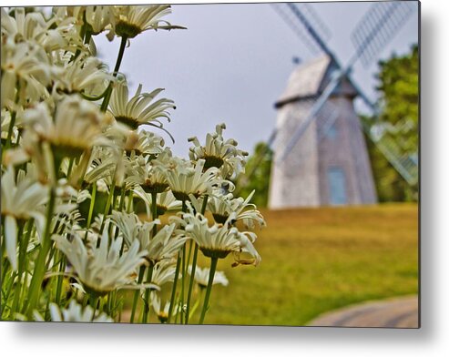 Chatham Metal Print featuring the photograph Chatham Windmill by Marisa Geraghty Photography
