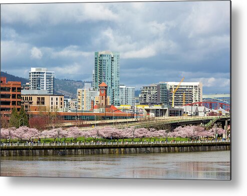 Cherry Blossom Metal Print featuring the photograph Cherry Blossom Trees at Portland Waterfront Park by David Gn