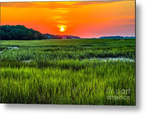 Marsh Metal Print featuring the photograph Cherry Grove Marsh Sunrise by David Smith