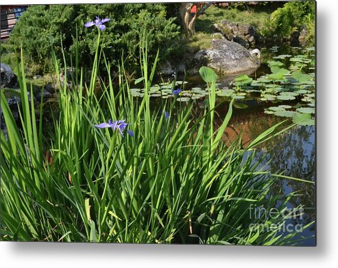 Flower Metal Print featuring the photograph Chinese Garden by Carol Bradley