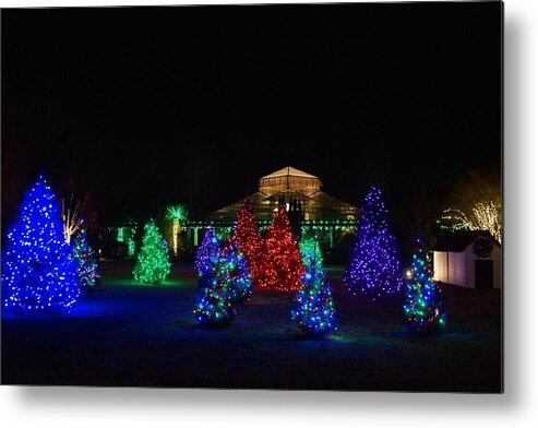  Metal Print featuring the photograph Christmas Garden 7 by Rodney Lee Williams