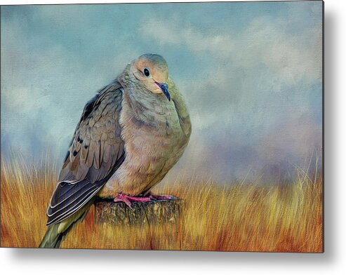 Dove Metal Print featuring the photograph Chubby Dove by Cathy Kovarik