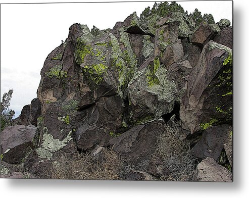 Volcanic Rock Metal Print featuring the photograph Cienega Petro Rock by Feather Redfox