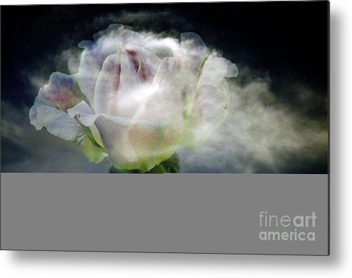 Clay Metal Print featuring the photograph Cloud Rose by Clayton Bruster