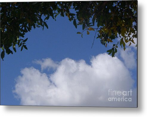 Clouds Metal Print featuring the photograph Clouds Framed by Tree by Nora Boghossian