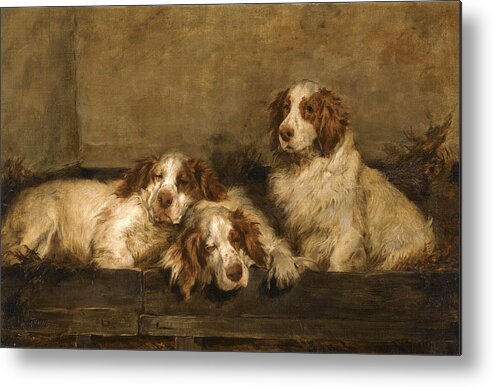 John Emms Metal Print featuring the painting Clumber Spaniels in a Kennel by John Emms