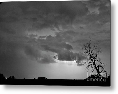 Tree Metal Print featuring the photograph CO Cloud to Cloud Lightning Thunderstorm 27 BW by James BO Insogna