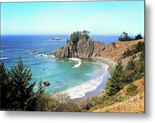 Photography Metal Print featuring the photograph Coastal Overlook by Sylvia Cook