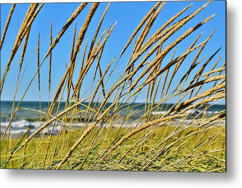 Coastal Living Metal Print featuring the photograph Coastal Relaxation by Nicole Lloyd