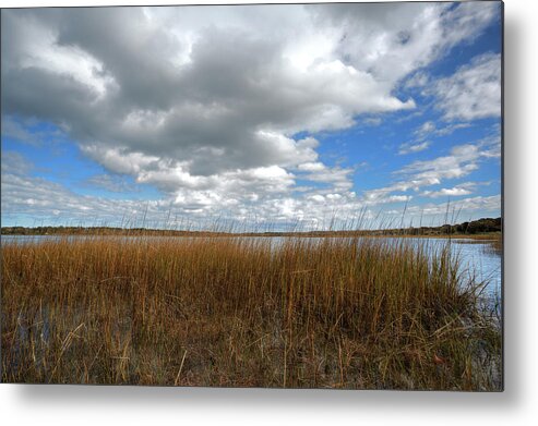 Cold Spring Pond Metal Print featuring the photograph Cold Springs Pond Morning by Steve Gravano