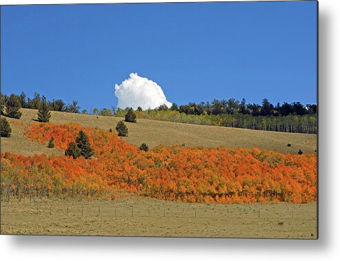 Colorado Metal Print featuring the photograph Colorado Autumn 02 by Robert Meyers-Lussier