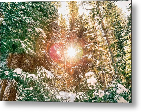 Winter Metal Print featuring the photograph Colorado Rocky Mountain Snow and Sunshine by James BO Insogna
