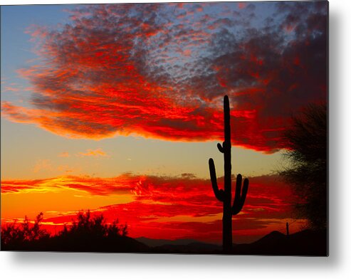 Sunsets Metal Print featuring the photograph Colorful Arizona Sunset by James BO Insogna