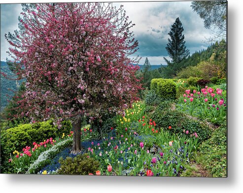 Ananda Village Metal Print featuring the photograph Colorful Paradise by Robin Mayoff