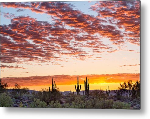 Desert Metal Print featuring the photograph Colorful Sonoran Desert Sunrise by James BO Insogna