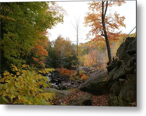Fall Metal Print featuring the photograph Colors along the stream by Lois Lepisto