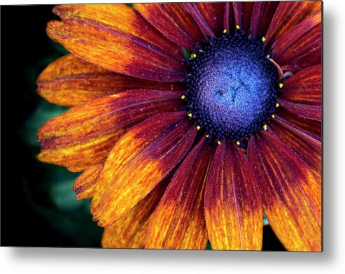 Flower Metal Print featuring the photograph Colors Inside by Vanessa Thomas