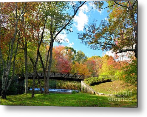 Fall Metal Print featuring the photograph Colors of Fall by Tammie Miller