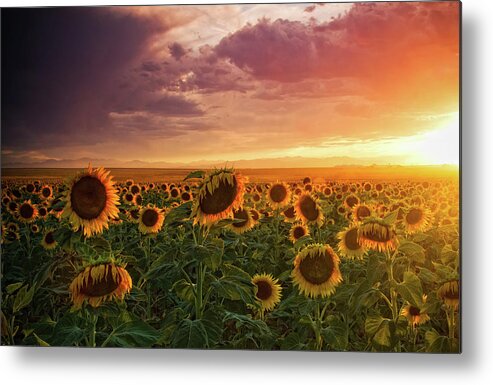 Colorado Metal Print featuring the photograph Colors Of Late Evening by John De Bord