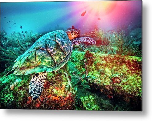 Florida Metal Print featuring the photograph Colors of the Sea in Lights by Debra and Dave Vanderlaan