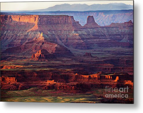 Canyonlands National Park Metal Print featuring the photograph Colors of Utah by Norma Warden
