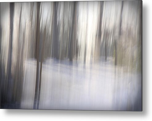 Snow Metal Print featuring the photograph Come Away With Me by Margaret Denny