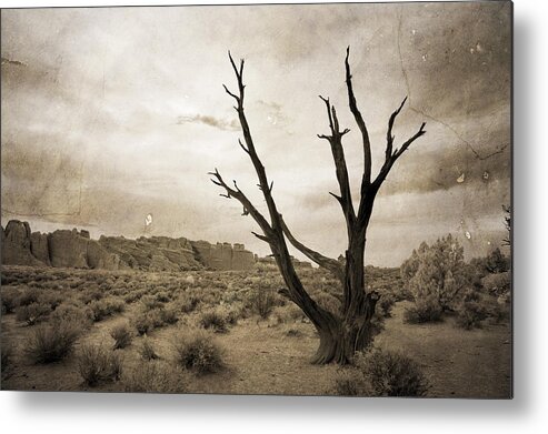 Nature Metal Print featuring the photograph Come Closer and See by Mike Irwin