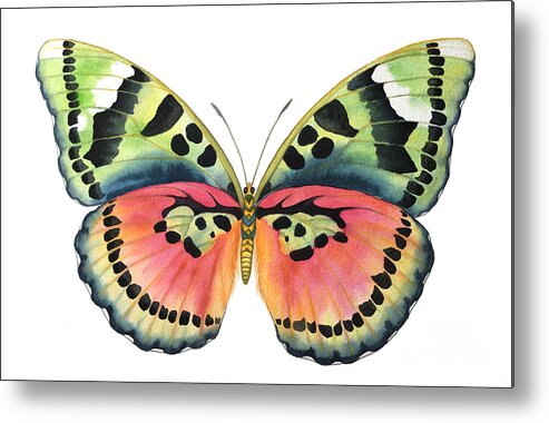 Butterflies Metal Print featuring the painting Common Pink Forester by Lucy Arnold
