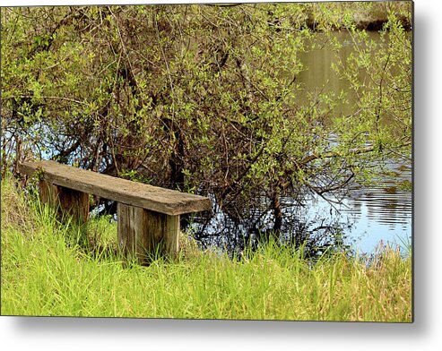 Oceano Metal Print featuring the photograph Communing With Nature by Art Block Collections