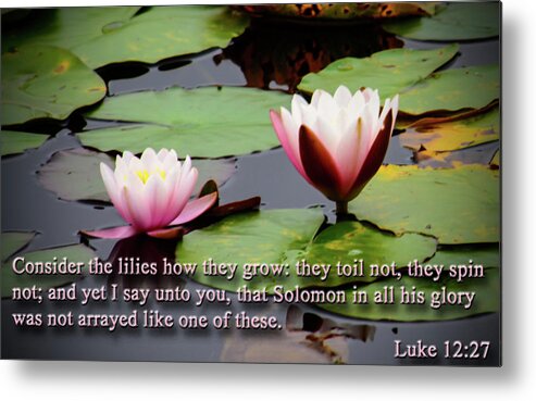 Plant Metal Print featuring the photograph Consider the Lilies by Tikvah's Hope