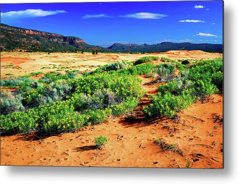 Coral Pink Sand Dunes Metal Print featuring the photograph Coral Pink Sand Dunes by Frank Houck