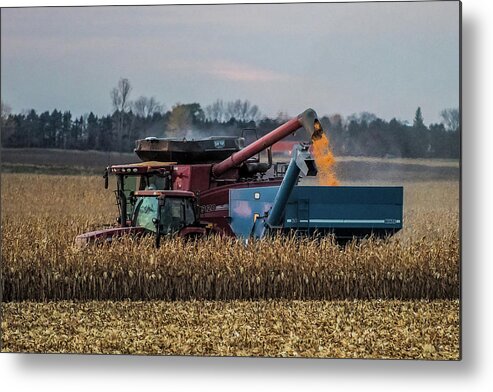Corn Metal Print featuring the photograph Corn Harvest by Paul Freidlund