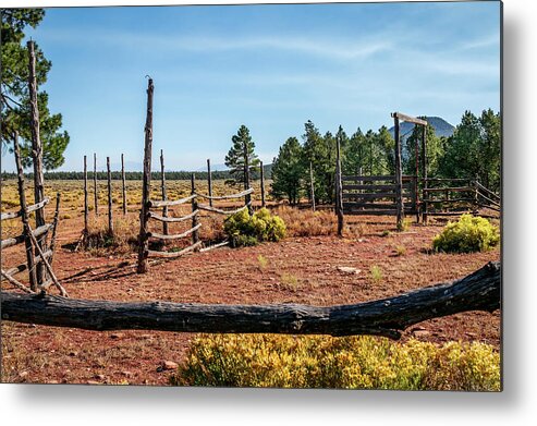 Corral Metal Print featuring the photograph Corral by Doug Long