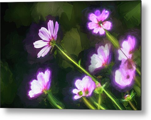 Cosmos Metal Print featuring the photograph Cosmos Flowers Coreopsideae 003 by Rich Franco