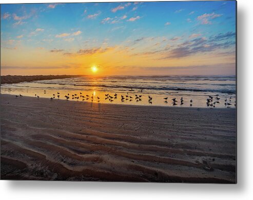 Beach Metal Print featuring the photograph Coastal Sunrise by Dave Files