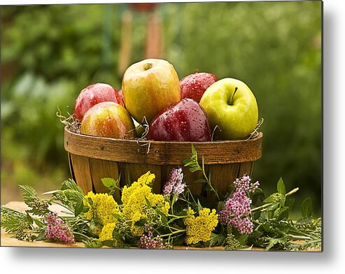 Basket Metal Print featuring the photograph Country Basket of Apples by Trudy Wilkerson